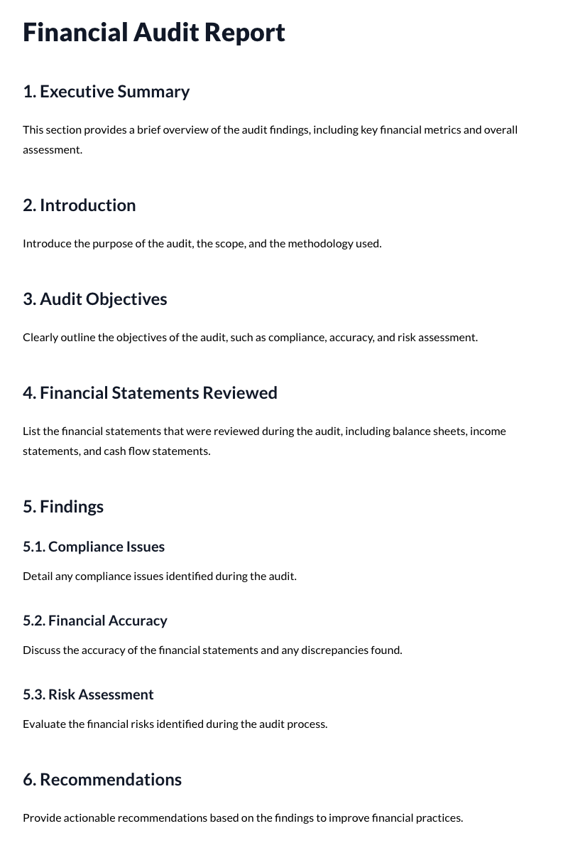 Financial Audit Report Template