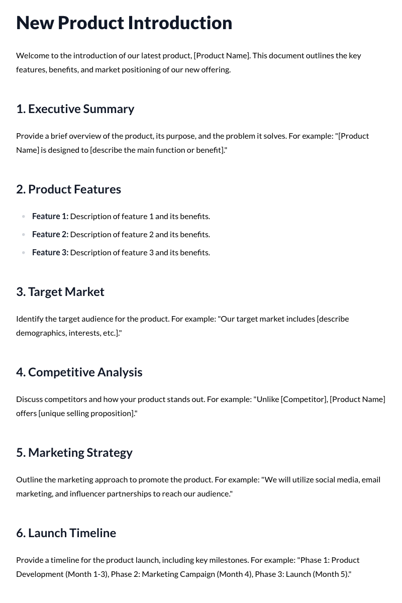 New Product Introduction Template