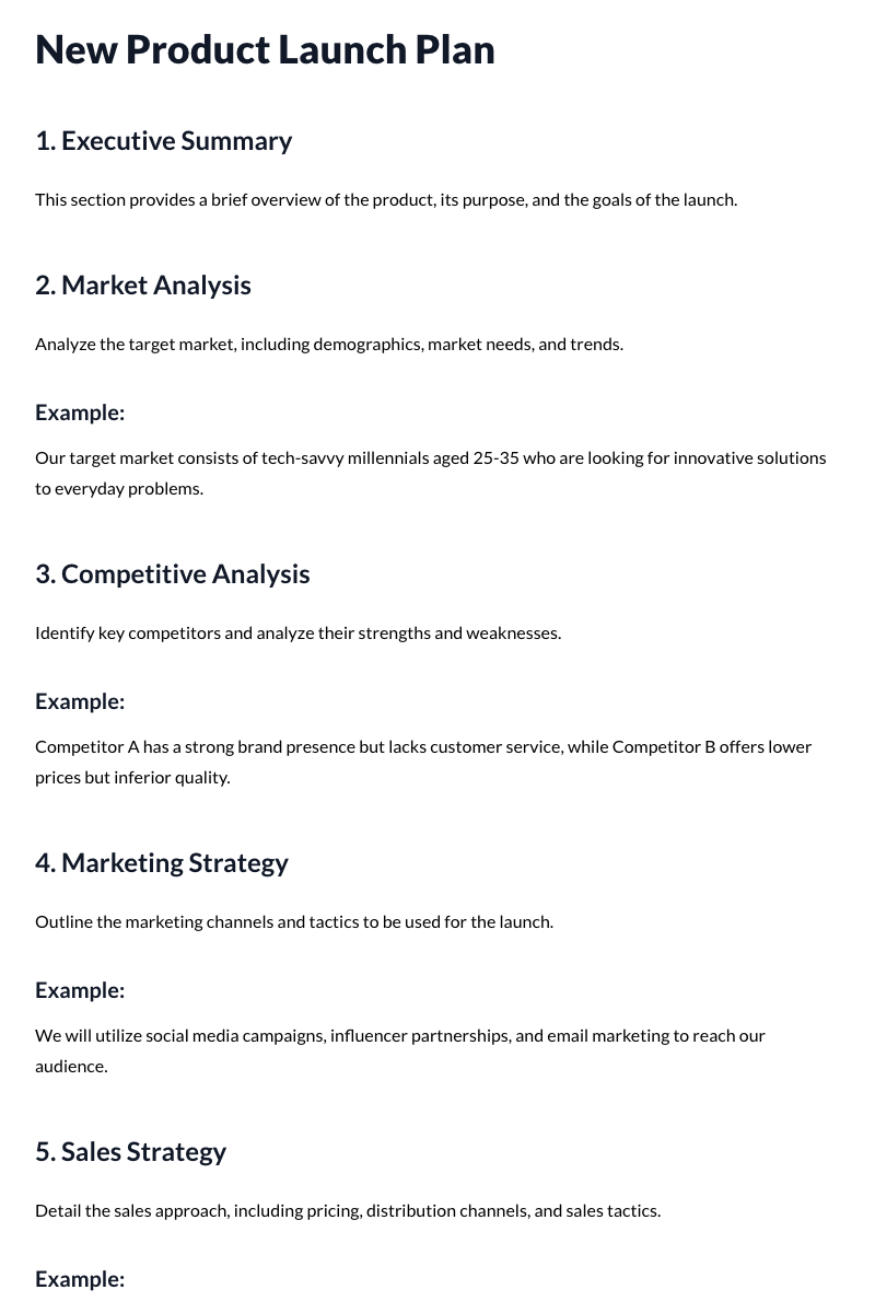 New Product Launch Plan Template